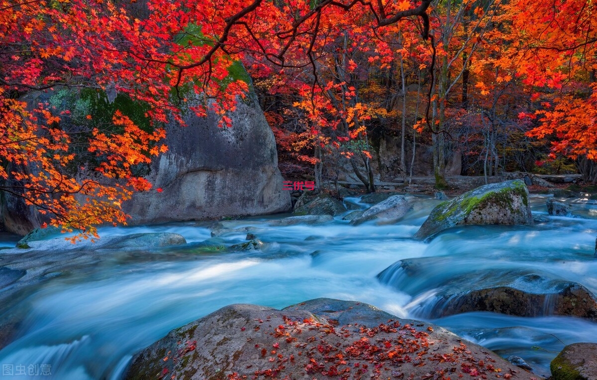 王维3首经典写秋诗：秋在人间，山水如画，唯美惊艳