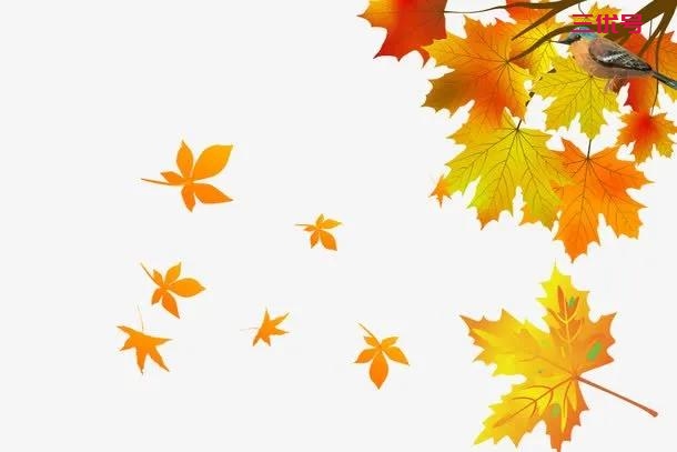 秋风乍起，这十六首写尽秋色秋韵的古诗，现在让孩子学习正当时