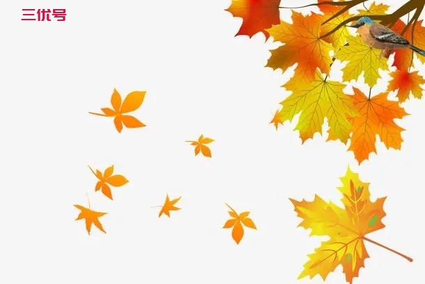 秋风乍起，这十六首写尽秋色秋韵的古诗，现在让孩子学习正当时