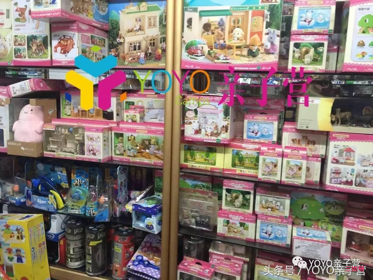 用某宝的价格拿下某城品质的玩具，探秘大隐于市的“玩具库房”