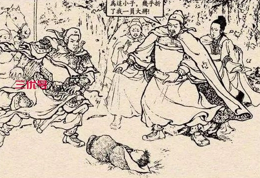 三国335:赵云舍死忘生救出阿斗，刘备却把儿子扔到地上差点摔死