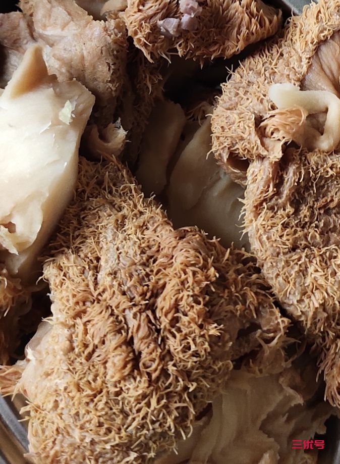 高蛋白低脂肪的猴头菇炖筒骨，味道鲜美，营养下饭
