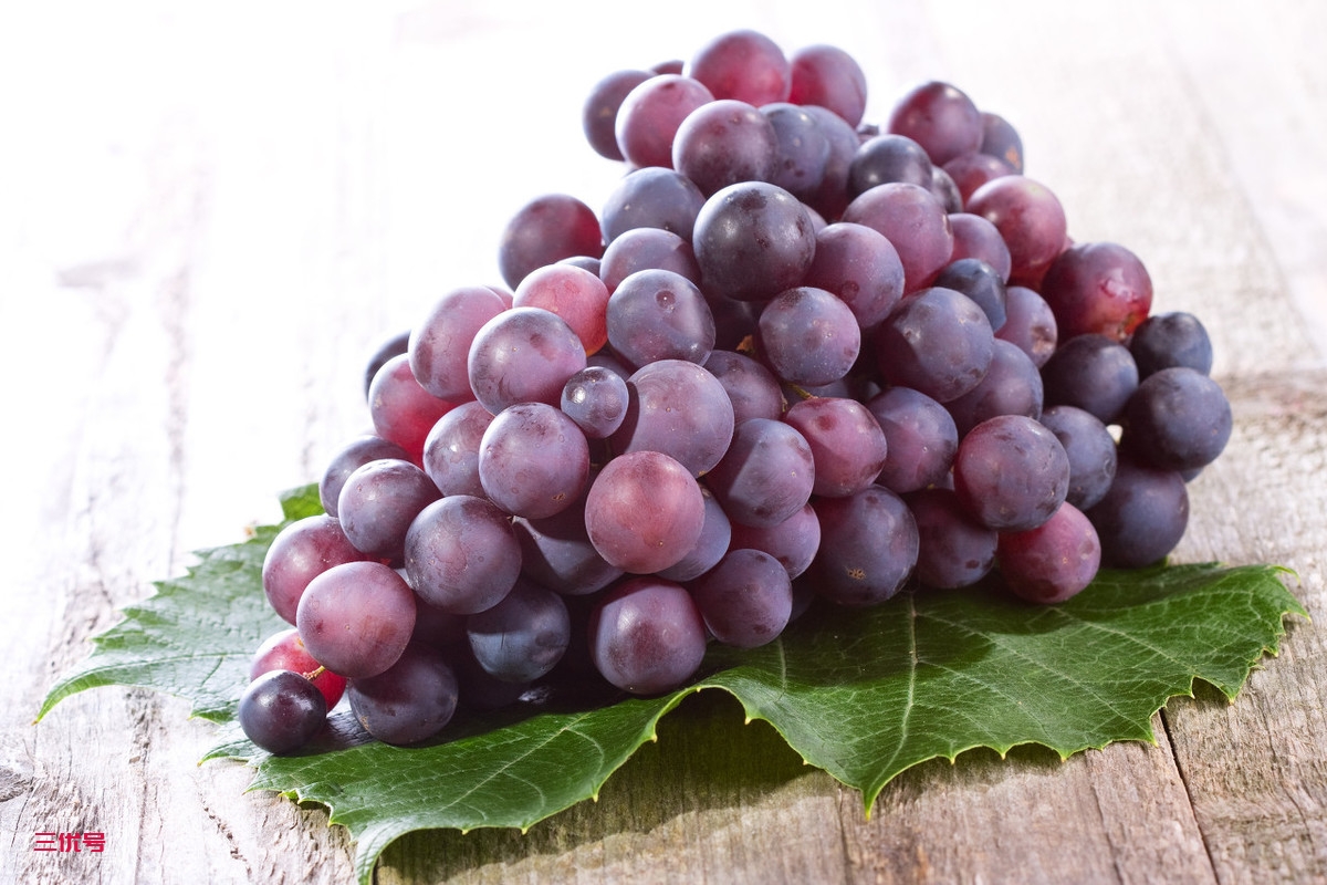 常吃葡萄好处多，新鲜葡萄和葡萄干哪个更营养？哪个更适合吃