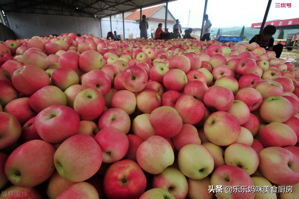 处暑后，这3种“时令蔬果”别错过，好吃营养，应季而食身体好