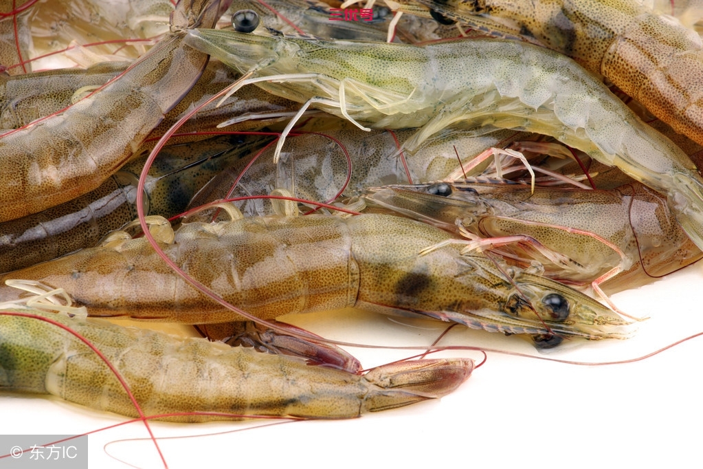 基围虾，是河虾是海虾味道真的有差
