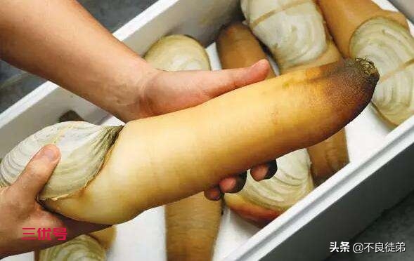 吃播界的奢侈品，这些经常会出现在吃播中的食物有多贵(一)