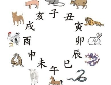 属虎的今年多大了都是哪一年的?属虎几点出生大富大贵?